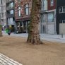 KoMex BIO boomspiegels Guldenberg, Antwerpen 2018 net na aanleg