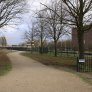 Hielbijl Oosterhout KoMex geel februari 2020 (4)