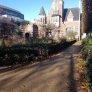 Zoo Antwerpen KoMex geel december 2022