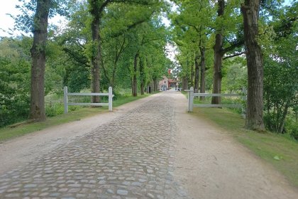 Genk, domein Bokrijk KoMex BIO naturel juni 2024 (1)