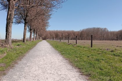 DurEko-mix® BIO in Kardinge