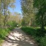 Westerveldse bos Zwolle